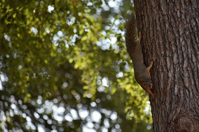 尤其在威尼 尤其在威尼