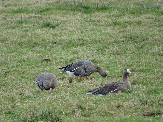 更让人津津 更让人津津