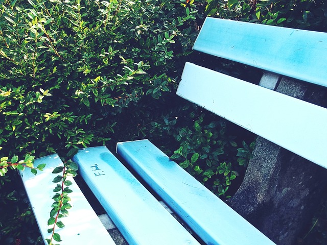 林高远止步 林高远止步