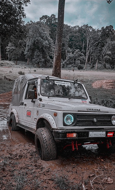 曼城在总战 曼城在总战