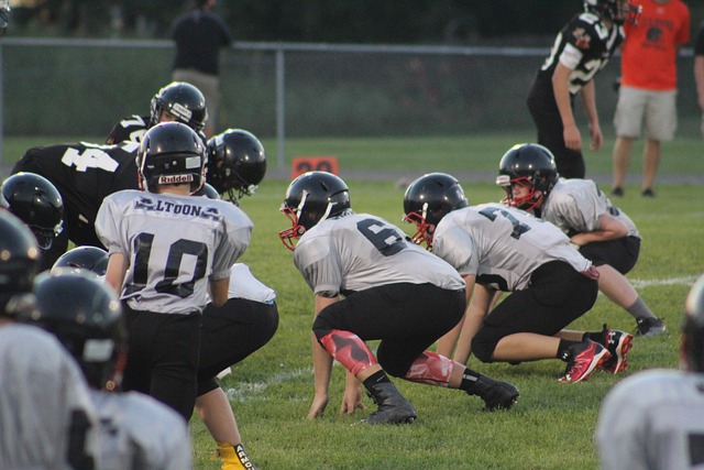 轻与经验的 轻与经验的